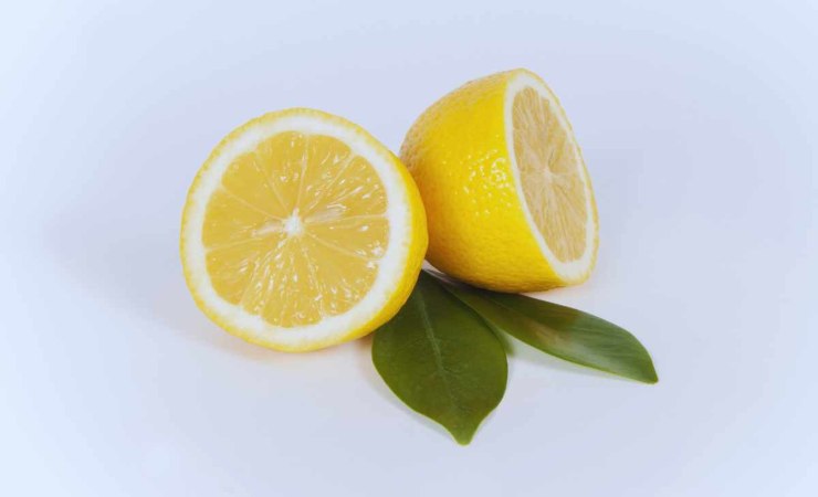 con il limone le blatte stanno alla larga